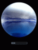 anim240320mobildesign.atw.hu_0013.gif